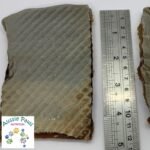 Fish Skin Large – Aussie Paws Nutrition – Dehyrated Dog Treats, 100% Natural, Omega3, Omega 6, All Australian