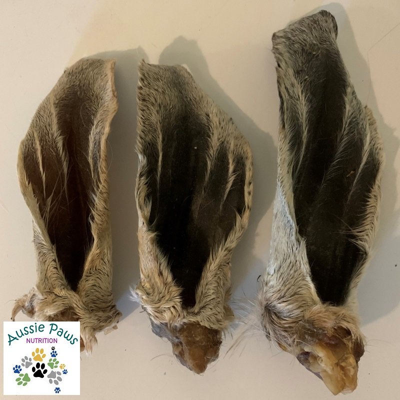Goat Ears – Aussie Paws Nutrition – All Natural Dog Treats, Goat Ears, Goat