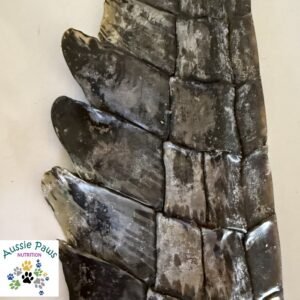 Crocodile Tails - Aussie Paws Nutrition - All Natural Dog Treats, Novel Protein, Australian produce, Crocodile, Australia, Melbourne