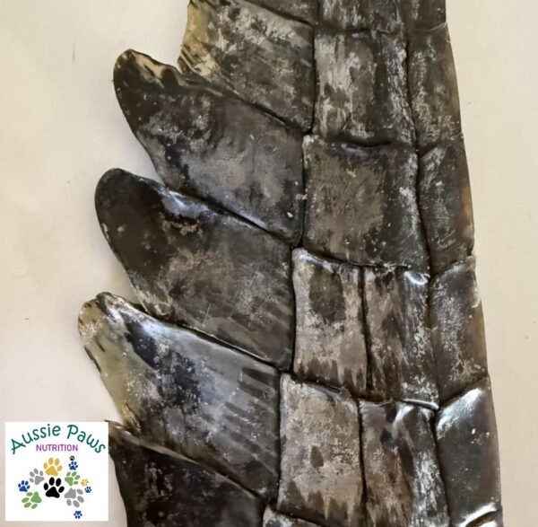 Crocodile Tails - Aussie Paws Nutrition - All Natural Dog Treats, Novel Protein, Australian produce, Crocodile, Australia, Melbourne